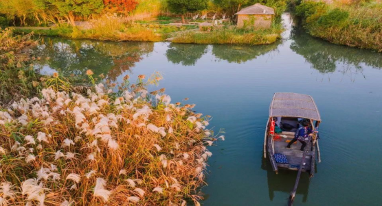 1700050789188378.png image.png